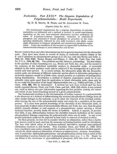 Nucleotides. Part XXXI. The stepwise degradation of polyribonucleotides: model experiments