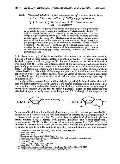 551. Chemical studies in the biosynthesis of purine nucleotides. Part I. The preparation of N-glycylglycosylamines