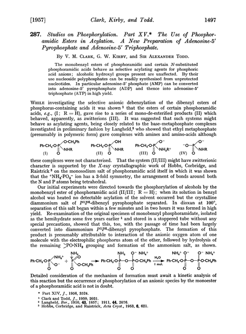 287. Studies on phosphorylation. Part XV. The use of phosphoramidic esters in acylation. A new preparation of adenosine-5′ pyrophosphate and adenosine-5′ triphosphate