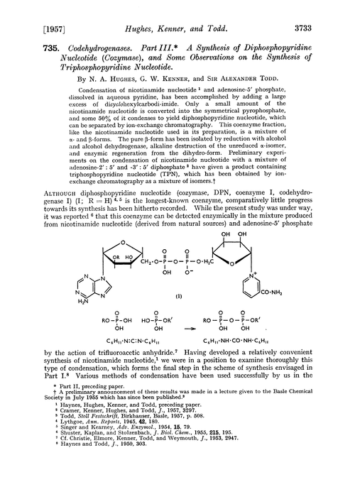 735. Codehydrogenases. Part III. A synthesis of diphosphopyridine nucleotide (cozymase), and some observations on the synthesis of triphosphopyridine nucleotide