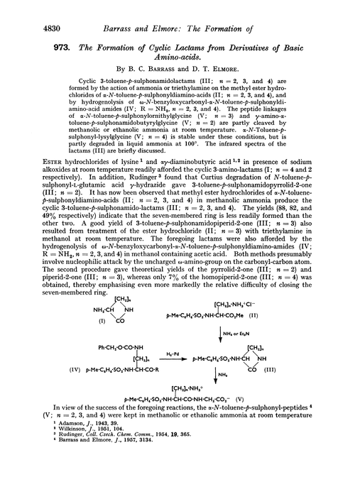 973. The formation of cyclic lactams from derivatives of basic amino-acids