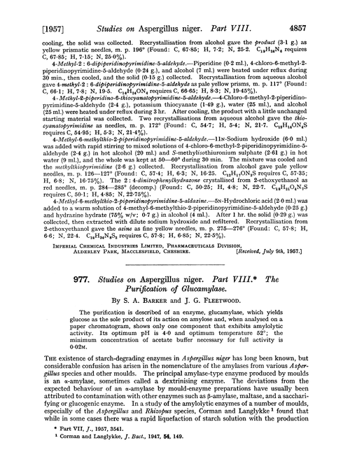 977. Studies on Aspergillus niger. Part VIII. The purification of glucamylase