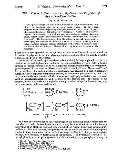 270. Polynucleotides. Part I. Synthesis and properties of some polyribonucleotides