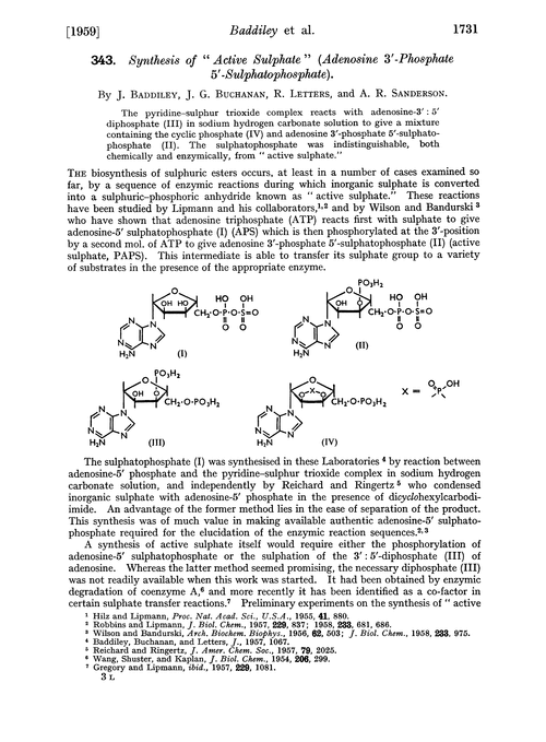 343. Synthesis of “active sulphate”(adenosine 3′-phosphate 5′-sulphatophosphate)