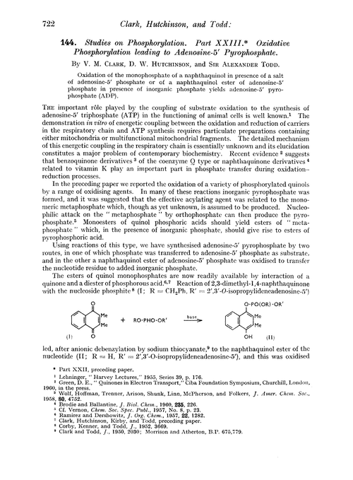 144. Studies on phosphorylation. Part XXIII. Oxidative phosphorylation leading to adenosine-5′ pyrophosphate