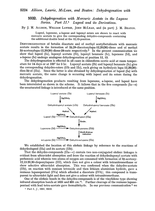 1032. Dehydrogenation with mercuric acetate in the lupane series. Part II. Lupeol and its derivatives