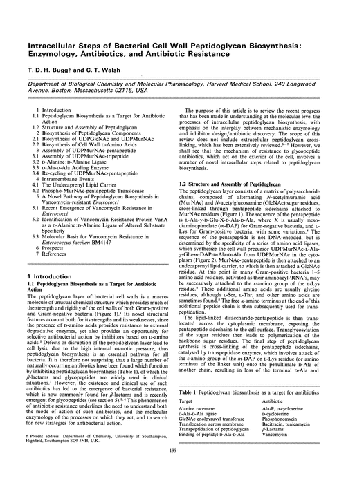 Intracellular steps of bacterial cell wall peptidoglycan biosynthesis: enzymology, antibiotics, and antibiotic resistance