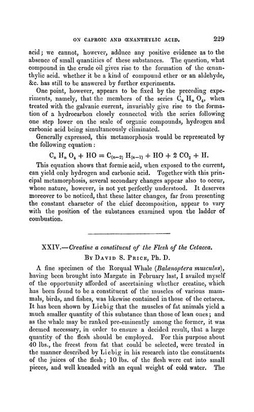 XXIV.—Creatine a constituent of the flesh of the cetacea