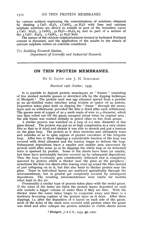 On thin protein membranes