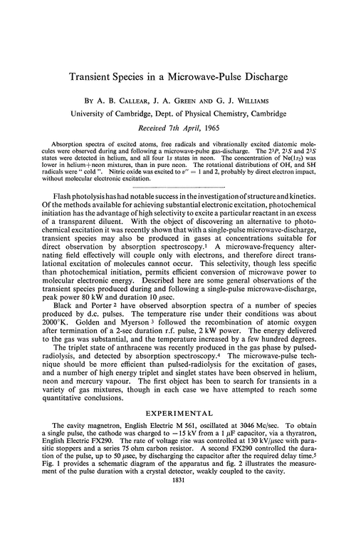 Transient species in a microwave-pulse discharge
