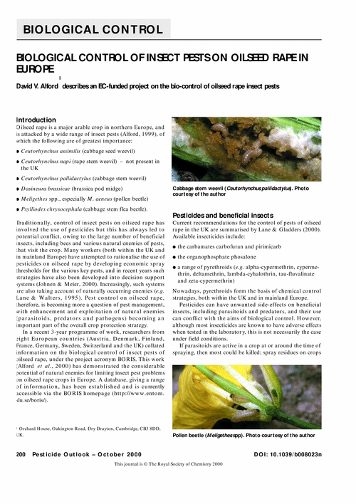 Biological control of insect pests on oilseed rape in Europe