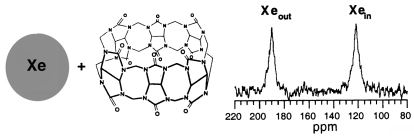 Graphical abstract: NMR study of the reversible complexation of xenon by cucurbituril