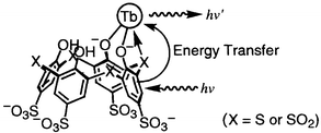 Graphical abstract: Energy transfer luminescence of Tb3+ ion complexed with calix[4]arenetetrasulfonate and the thia and sulfonyl analogue. The effect of bridging groups