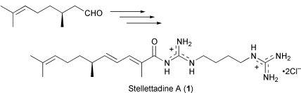 Graphical abstract: Synthesis and absolute configuration of stellettadine A, a bisguanidinium alkaloid isolated from a marine sponge Stelletta sp.