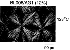 Graphical abstract: Self-assembled gels of liquid crystals: hydrogen-bonded aggregates formed in various liquid crystalline textures