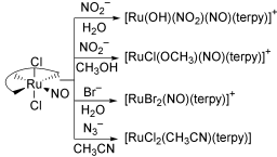 Graphical abstract: Reactions of [RuCl2(NO)(terpy)]+ (terpy = 2,2′ : 6′,2″-terpyridine) with mono anions such as NO2−, Br− and N3−, and structural studies on terpyridineruthenium having a nitrosyl ligand
