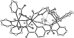 Graphical abstract: Supramolecular metal helicate structures with incomplete metal ion coordination