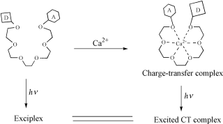 Graphical abstract: Intramolecular exciplex and cation-mediated charge-transfer fluorescence in a podand carrying terminal electron donor and acceptor groups