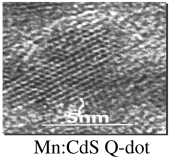 Graphical abstract: Synthesis of TOPO-capped Mn-doped ZnS and CdS quantum dots