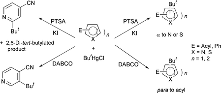 Graphical abstract: Acid- or base-promoted photostimulated homolytic tert-butylation of pyridines and thiophenes