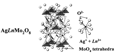 Graphical abstract: Magnetic properties of silver lanthanide molybdates AgLnMo2O8 (Ln = lanthanide)