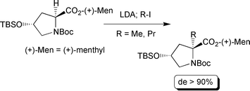 Graphical abstract: Diastereoselective synthesis of 2-alkylated 4-silyloxyproline esters