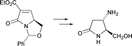 Graphical abstract: Pyrrolidinones derived from (S)-pyroglutamic acid. Part 3. β-Aminopyrrolidinones