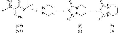 Graphical abstract: Conjugate addition of 6-membered hydrazine to chiral tert-butyl (E)-2-(p-tolylsulfinyl)cinnamates. Synthesis of (S)-celacinnine