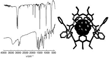 Graphical abstract: Vibrational spectroscopy of a tetraureidocalix[4]arene based molecular capsule