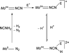 Graphical abstract: Activation of cyanamide by a molybdenum(0) diphosphinic centre. Formation of cyanoimide and its reactivity with electrophiles