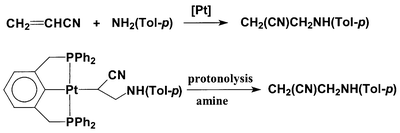 Graphical abstract: Protonolysis of a toluidinoalkyl platinum(ii) complex derived from the insertion of the C [[double bond, length as m-dash]] C bond into the Pt–NHR (amido) bond: the role of amine in Pt-catalyzed hydroamination of acrylonitrile