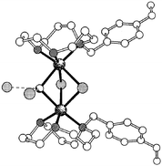 Graphical abstract: Synthesis, characterisation and polymerisation of vinylbenzene-substituted triazacyclododecanes and their transition metal complexes