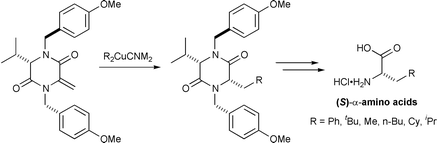 Graphical abstract: Conjugate additions of organocuprates to a 3-methylene-6-isopropyldiketopiperazine acceptor for the asymmetric synthesis of homochiral α-amino acids