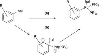 Graphical abstract: A computational study of the mechanism of palladium insertion into alkynyl and aryl carbon–fluorine bonds