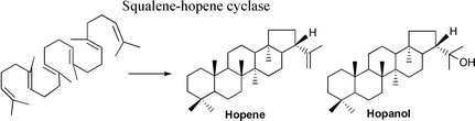 Graphical abstract: Squalene–hopene cyclase: catalytic mechanism and substrate recognition