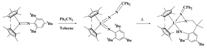 Graphical abstract: Enhancing the reactivity of uranium(vi) organoimido complexes with diazoalkanes
