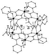 Graphical abstract: Four novel nanometer-sized cobalt azametallacrown complexes