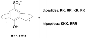 Graphical abstract: Binding of dipeptides and tripeptides containing lysine or arginine by p-sulfonatocalixarenes in water: NMR and microcalorimetric studies