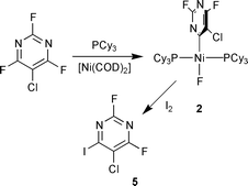 Graphical abstract: Aromatic C–F activation at Ni in the presence of a carbon–chlorine bond: the nickel mediated synthesis of new pyrimidines