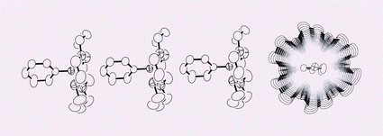 Graphical abstract: Formation of a molecular spin ladder induced by a supramolecular cation structure