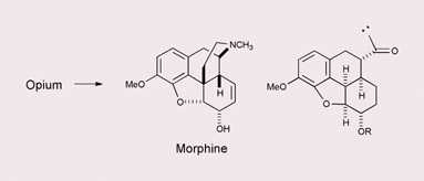 Graphical abstract: Morphine, the Proteus of organic molecules
