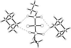 Graphical abstract: A structural study of bisphosphonate metal complexes. Alkaline earth metal complexes of (dichloromethylene)bisphosphonic acid P,P′-diethyl ester