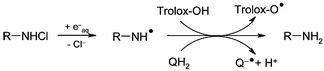 Graphical abstract: Absolute rate constants for the formation of nitrogen-centred radicals from chloramines/amides and their reactions with antioxidants