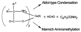 Graphical abstract: Reactions of a series of bis(α-amino acidato)copper(ii) complexes with formaldehyde and benzamide: aldol-type condensation versus Mannich aminomethylation