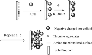 Graphical abstract: Alternate assemblies of thionine and Au-nanoparticles on an amino functionalized surface