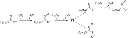 Graphical abstract: Kinetics and mechanism of the oxidation of ethyl xanthate and ethyl thiocarbonate by hydrogen peroxide