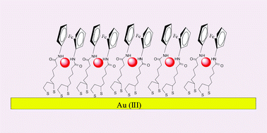 Graphical abstract: Anion recognition and redox sensing amplification by self-assembled monolayers of 1,1′-bis(alkyl-N-amido)ferrocene