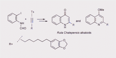 Graphical abstract: First syntheses of two quinoline alkaloids from the medicinal herb Ruta Chalepensisvia cyclization of an o-iodoaniline with an acetylenic sulfone