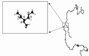 Graphical abstract: Molecular dynamics simulation of the effect of a side chain on the dynamics of the amorphous LiPF6–PEO system