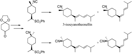 Graphical abstract: Synthesis and antifouling activity of 3-isocyanotheonellin and its analogues
